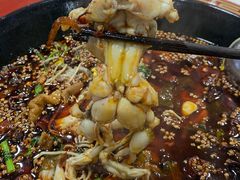 -烧哥美蛙肥肠鱼火锅·十五年社区店
