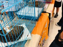 -家饰佳(宜山路店)