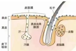 -木北造型