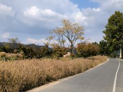 -良渚古城遗址公园