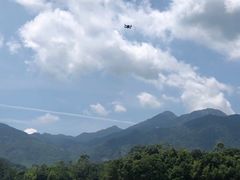 -广州市流溪河国家森林公园