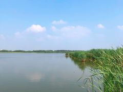 -西青郊野公园