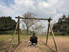 -趣多多宠物公园·宠物训犬学校·宠物寄养