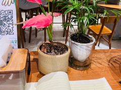 -小豆海棠(人民南路店)