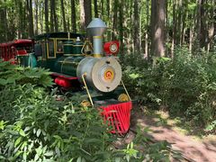 -上海共青森林公园