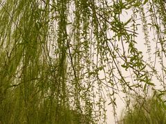-丰台科技园生态主题公园