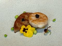 -皇朝会.经典传统粤菜(外滩店)