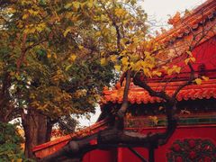 -故宫博物院(故宫)