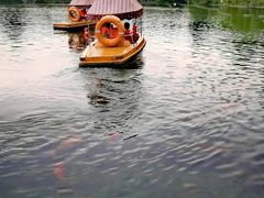 -西湖外事游船(花港观鱼码头)