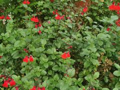 -乖乖佳花园山庄·私房菜(阿哈湖公园店)