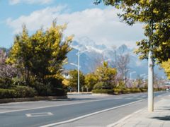 -丽江文化旅游学院