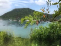 -南丫岛