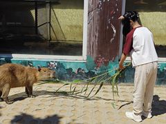 -西霞口神雕山野生动物世界
