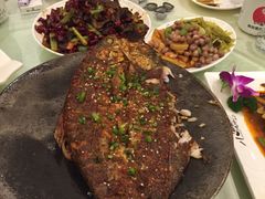 -福苗小骆驼烧烤(曲江店)