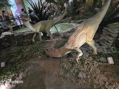 -湖南省地质博物馆