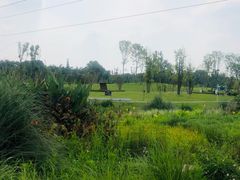 -两河城市森林公园