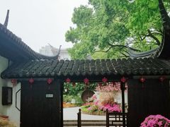 -上海醉白池公园