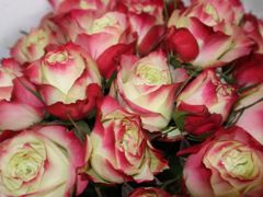 -循礼门鲜花花市(武汉循礼门店)