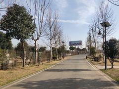-花博汇(知音花月夜)