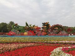 -北陵公园