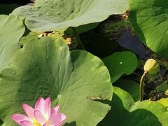 -天津金元宝滨海农产品交易市场(共发大道)