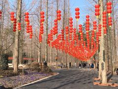 -东平国家森林公园