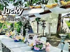 -安德鲁户外烧烤帐篷营地(马泉营店)