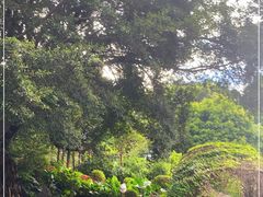 -乌山风景区