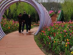 -上海鲜花港