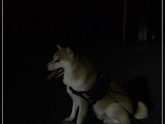 -钟山体育运动公园