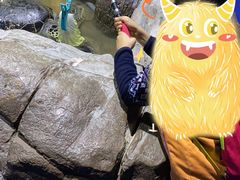 -重庆欢乐海底世界