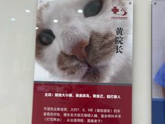 -御宝贝24h宠物医院·转诊中心·CT核磁血透中心(厦门总院)