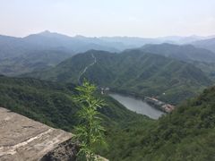 -天源渔港农庄
