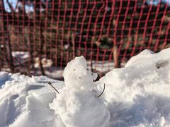-采薇庄园四季滑雪场