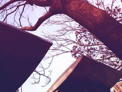 -北京中医药大学东方医院(方庄院区)
