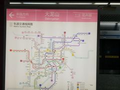 -大龙山(地铁站)