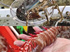 -华源餐厅·海鲜大排档(日月贝店)