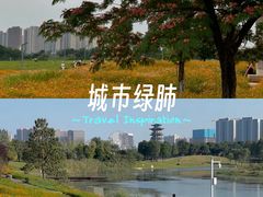 -洋湖国家湿地公园