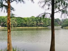 -东莞植物园