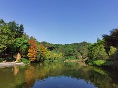 -云溪植物园