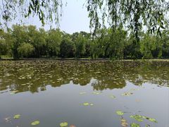 -北陵公园