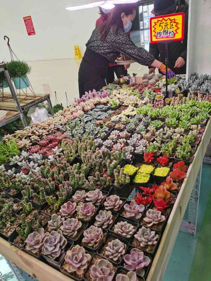 蟹岛国际花卉-"蟹岛里新开业的花卉市场,里面很宽敞,环境.