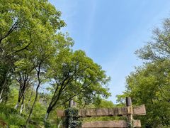 -南京老山国家森林公园