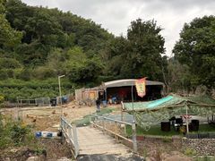 -北仑森林植物园