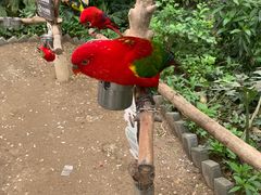 -南宫五洲植物乐园