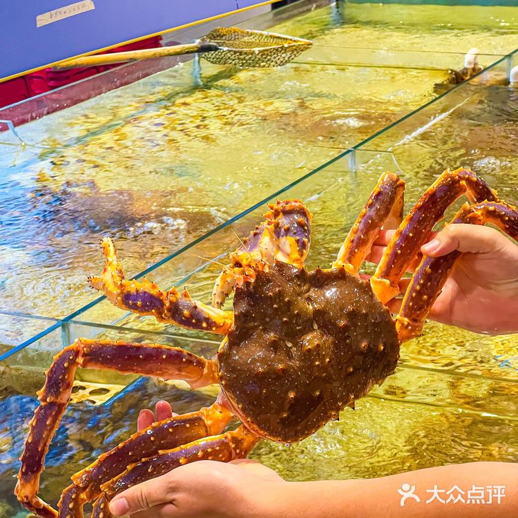 生蚝有多少种吃法❓在蚝乡我真的大开眼界❗️