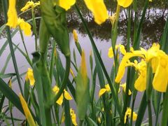 -白鹭湾湿地公园