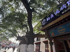 -古树酸奶(八廓南街店)