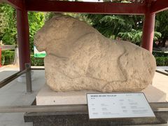 -茂陵博物馆