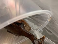 -双塔老饭店